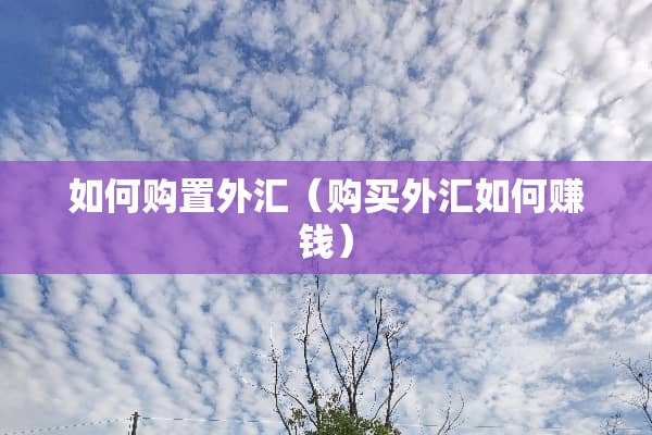 如何购置外汇（购买外汇如何赚钱）