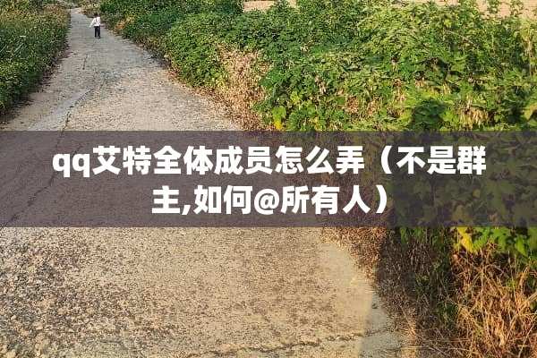 qq艾特全体成员怎么弄（不是群主,如何@所有人）