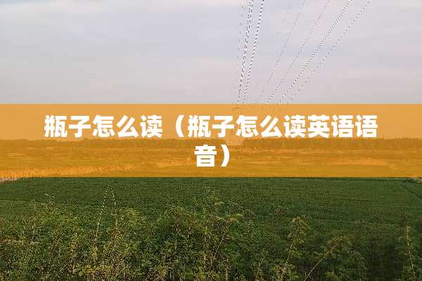 瓶子怎么读（瓶子怎么读英语语音）