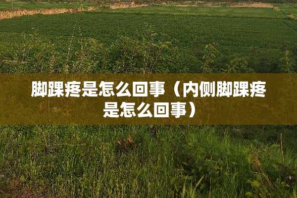脚踝疼是怎么回事（内侧脚踝疼是怎么回事）