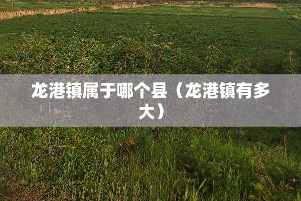 龙港镇属于哪个县（龙港镇有多大）