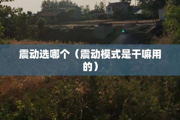 震动选哪个（震动模式是干嘛用的）