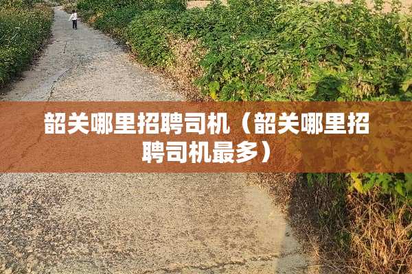 韶关哪里招聘司机（韶关哪里招聘司机最多）