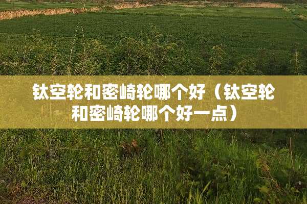 钛空轮和密崎轮哪个好（钛空轮和密崎轮哪个好一点）