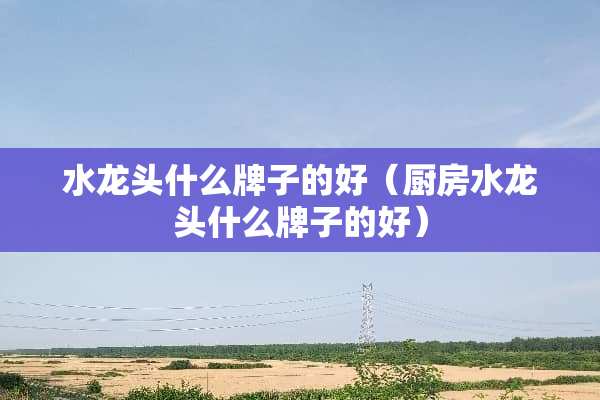 水龙头什么牌子的好（厨房水龙头什么牌子的好）