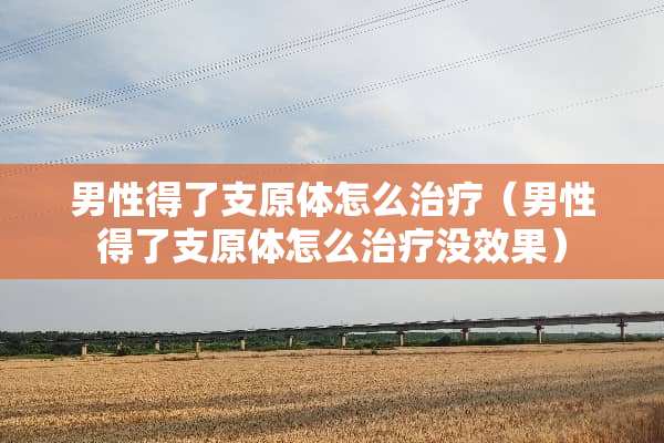 男性得了支原体怎么治疗（男性得了支原体怎么治疗没效果）