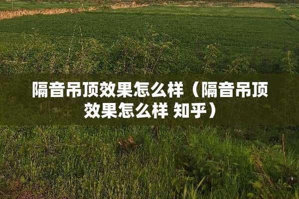 隔音吊顶效果怎么样（隔音吊顶效果怎么样 知乎）
