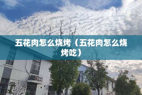 五花肉怎么烧烤（五花肉怎么烧烤吃）
