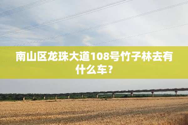 南山区龙珠大道108号竹子林去有什么车？