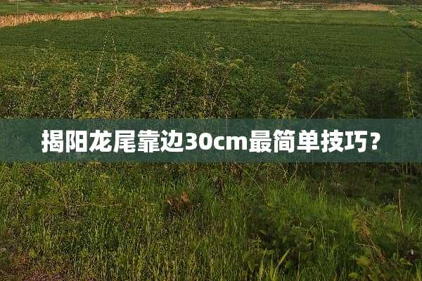 揭阳龙尾靠边30cm最简单技巧？