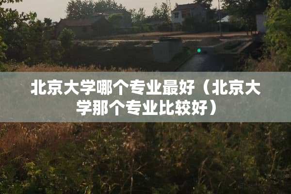 北京大学哪个专业最好（北京大学那个专业比较好）