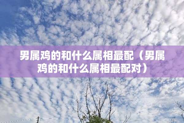 男属鸡的和什么属相最配（男属鸡的和什么属相最配对）