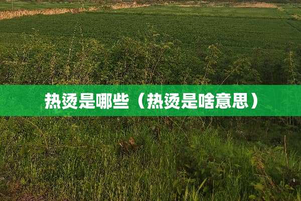 热烫是哪些（热烫是啥意思）