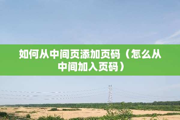 如何从中间页添加页码（怎么从中间加入页码）