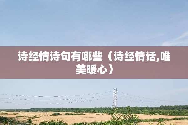 诗经情诗句有哪些（诗经情话,唯美暖心）