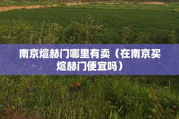 南京煊赫门哪里有卖（在南京买煊赫门便宜吗）