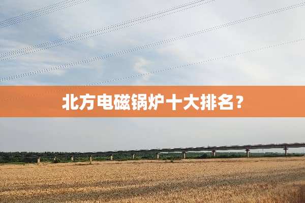 北方电磁锅炉十大排名？