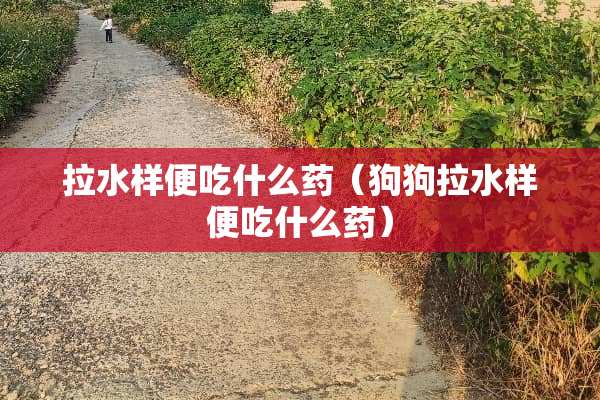 拉水样便吃什么药（狗狗拉水样便吃什么药）
