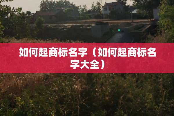 如何起商标名字（如何起商标名字大全）