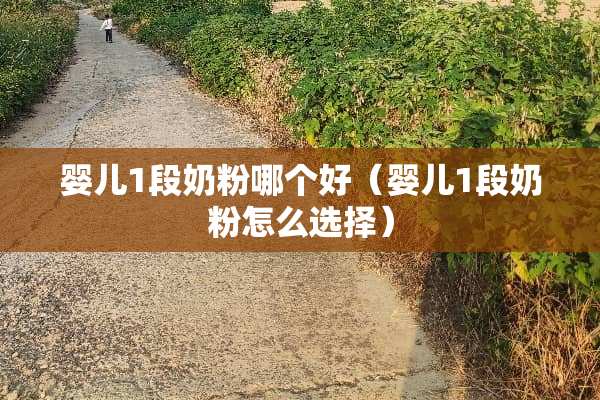 婴儿1段奶粉哪个好（婴儿1段奶粉怎么选择）