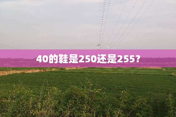 40的鞋是250还是255？