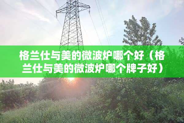 格兰仕与美的微波炉哪个好（格兰仕与美的微波炉哪个牌子好）