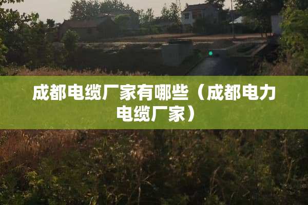 成都电缆厂家有哪些（成都电力电缆厂家）