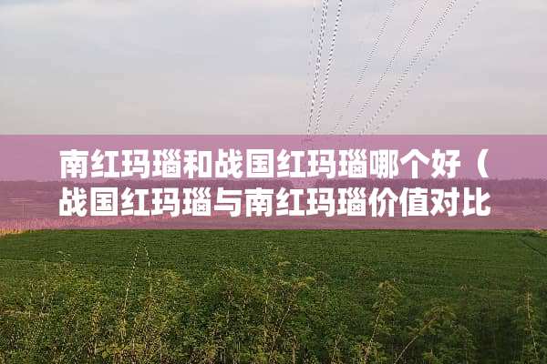 南红玛瑙和战国红玛瑙哪个好（战国红玛瑙与南红玛瑙价值对比）