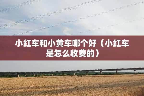 小红车和小黄车哪个好（小红车是怎么收费的）