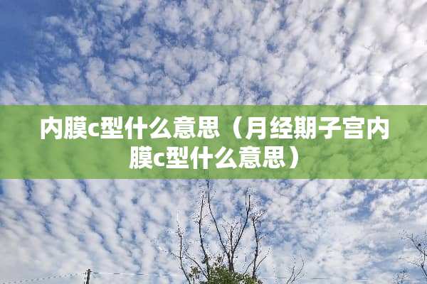 内膜c型什么意思（月经期子宫内膜c型什么意思）