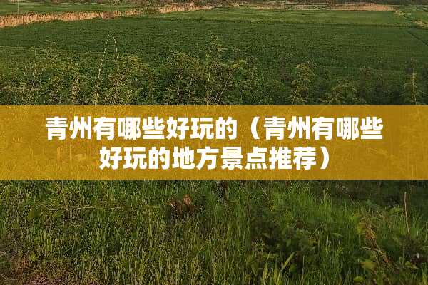 青州有哪些好玩的（青州有哪些好玩的地方景点推荐）