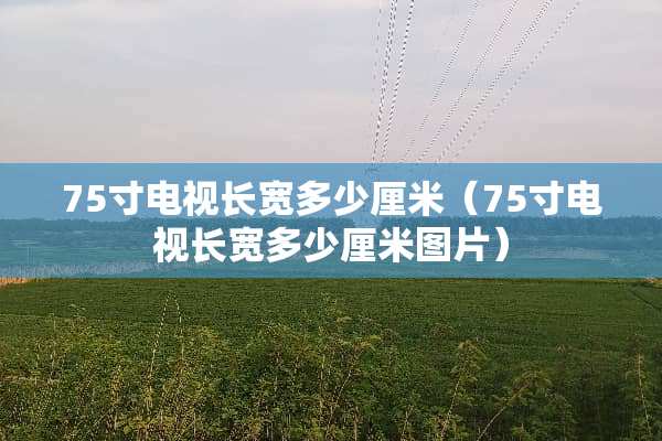 75寸电视长宽多少厘米（75寸电视长宽多少厘米图片）
