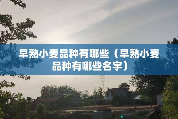 早熟小麦品种有哪些（早熟小麦品种有哪些名字）