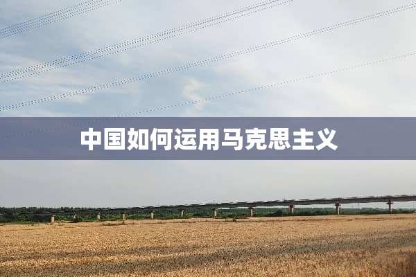 中国如何运用马克思**