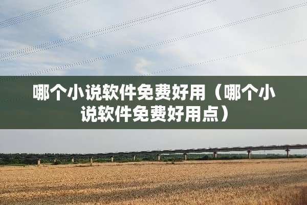哪个小说软件免费好用（哪个小说软件免费好用点）