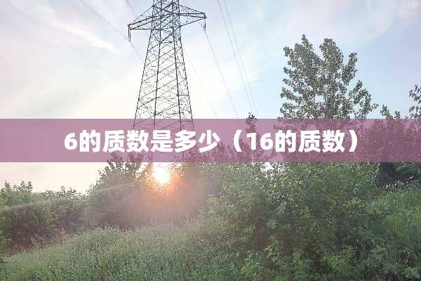 6的质数是多少（16的质数）