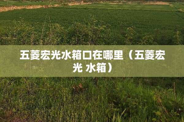 五菱宏光水箱口在哪里（五菱宏光 水箱）