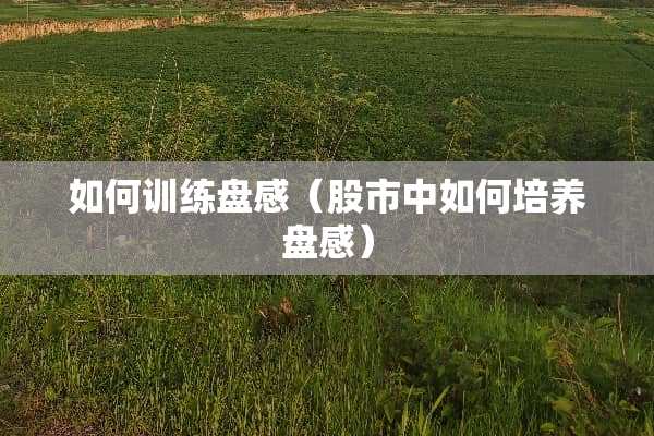 如何训练盘感（股市中如何培养盘感）