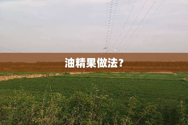 油精果做法？