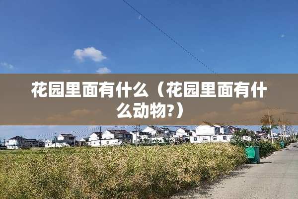 花园里面有什么（花园里面有什么动物?）