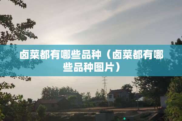 卤菜都有哪些品种（卤菜都有哪些品种图片）