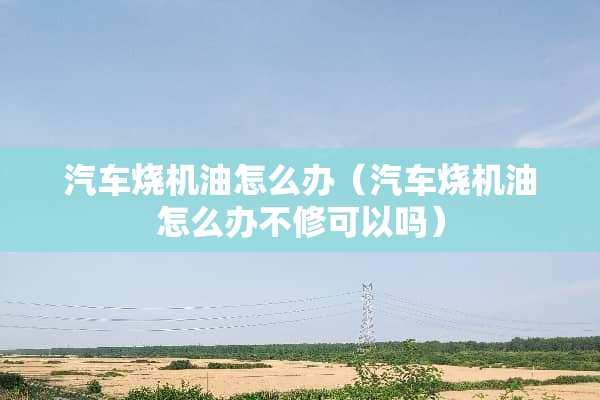 汽车烧机油怎么办（汽车烧机油怎么办不修可以吗）