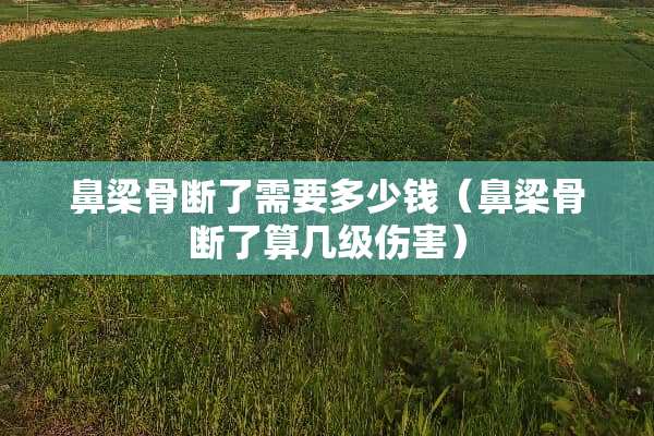 鼻梁骨断了需要多少钱（鼻梁骨断了算几级伤害）