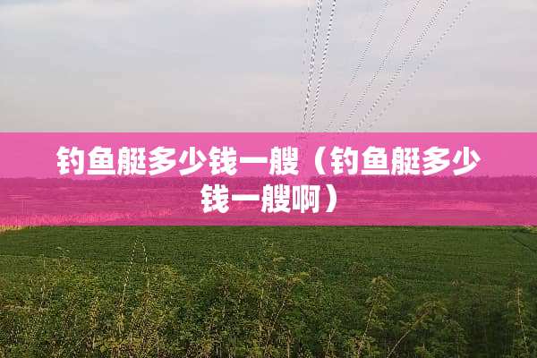 钓鱼艇多少钱一艘（钓鱼艇多少钱一艘啊）