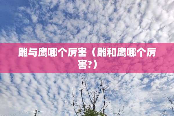 雕与鹰哪个厉害（雕和鹰哪个厉害?）