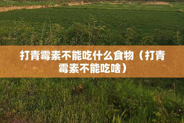 打青霉素不能吃什么食物（打青霉素不能吃啥）