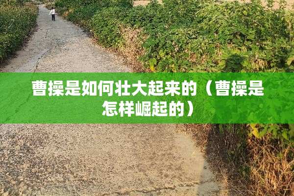 曹操是如何壮大起来的（曹操是怎样崛起的）