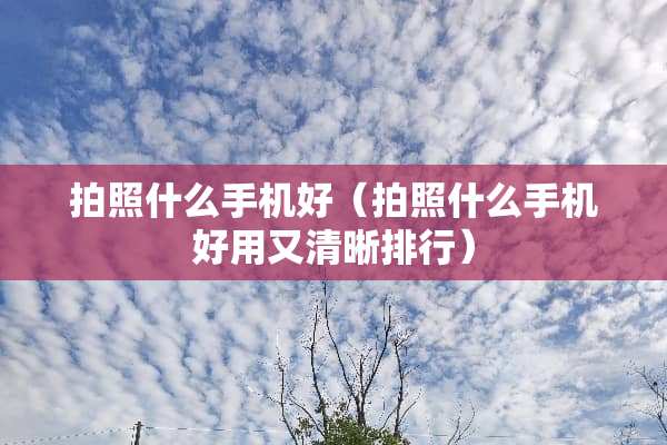 拍照什么手机好（拍照什么手机好用又清晰排行）