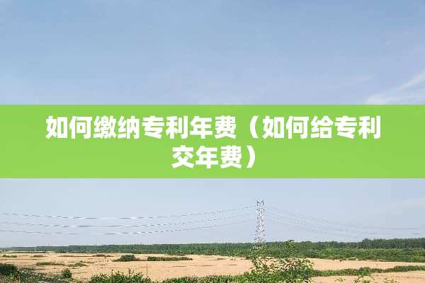 如何缴纳专利年费（如何给专利交年费）