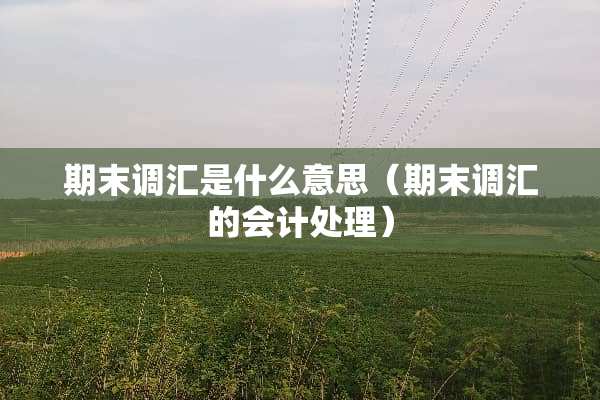 期末调汇是什么意思（期末调汇的会计处理）